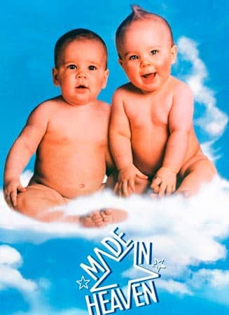 Hecho en el cielo (1987) Descargar y ver online